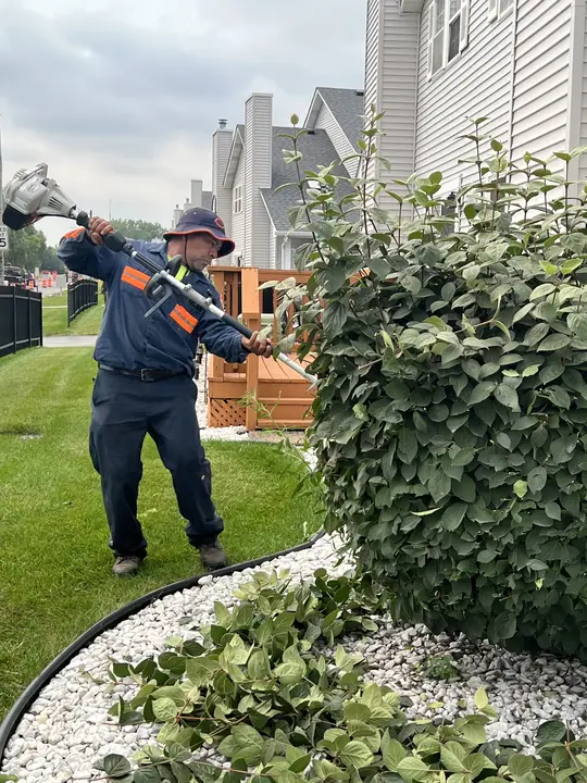 Bush Trimming Commercial Property Posen Il