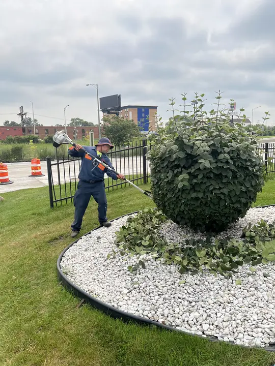 Commercial Shrub Pruning Fence Line Posen Il