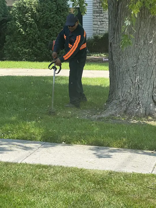 Crew Trimming Around Parkway Tree Chicagoland