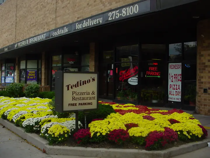 Fall Mum Display Commercial Storefront Chicagoland