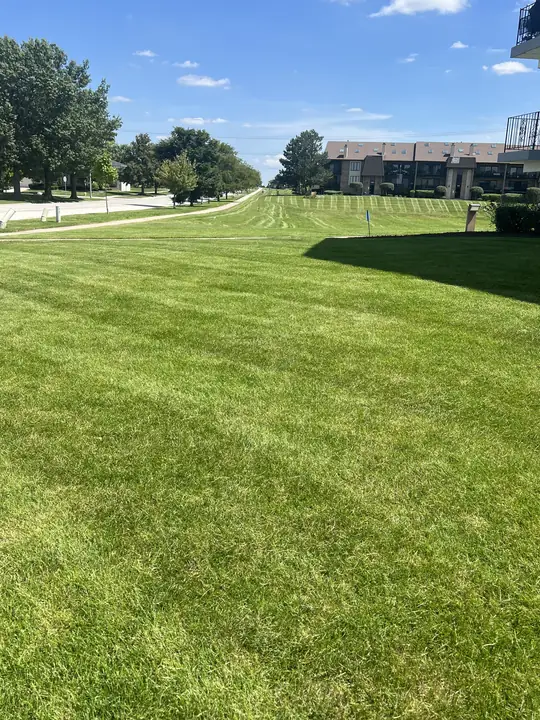Freshly Striped Lawn Open Turf Tinley Park Il