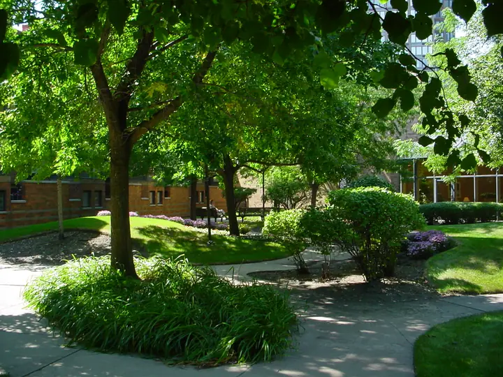 Landscape Beds And Walkways Commercial Courtyard Posen Il
