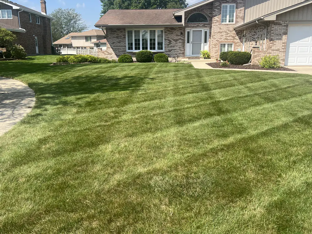 Lawn Mowing Striped Front Lawn Posen Il