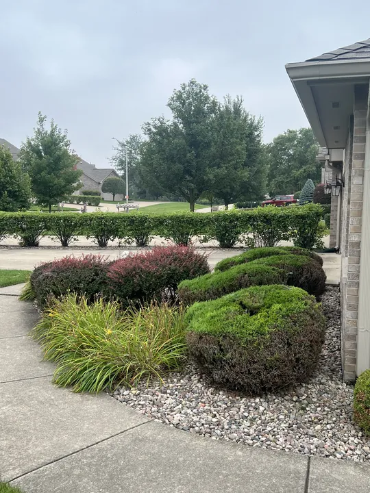 Ornamental Shrub Bed Stone Edging Posen Il