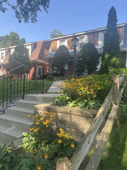 Perennial Bed Beside Townhome Steps Chicagoland