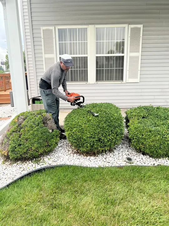 Shrub Trimming Crew Posen Il