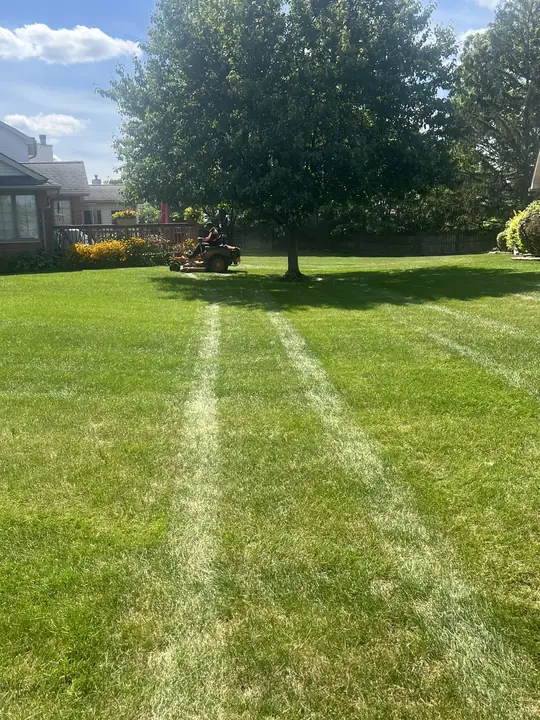 Striped Front Lawn Residential Home Chicagoland