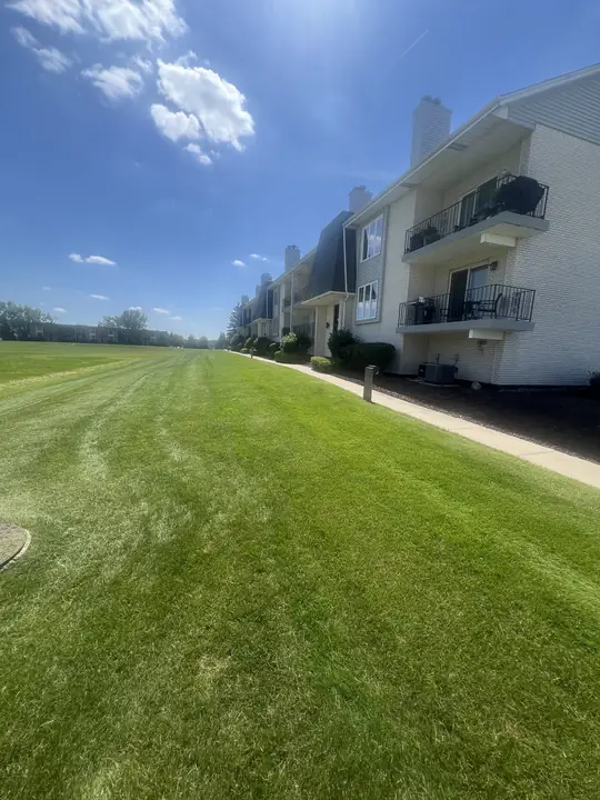 Striped Lawn Condo Building Multi Family Tinley Park Il