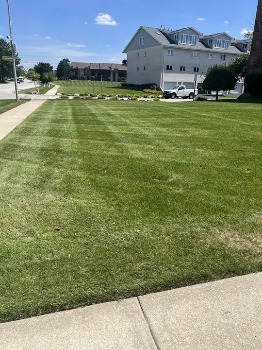Striped Lawn Townhome Community Tinley Park Il